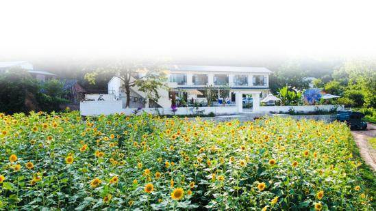 重庆荣昌：“3361”工作法激活基层治理末梢