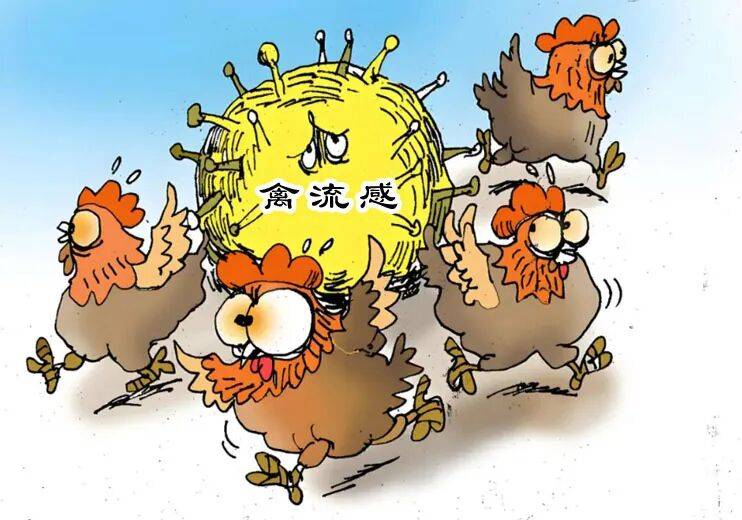 【科普】预防人感染新亚型流感（禽流感）措施