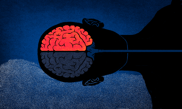 为什么有人会“认床”？半边大脑在守夜呢！