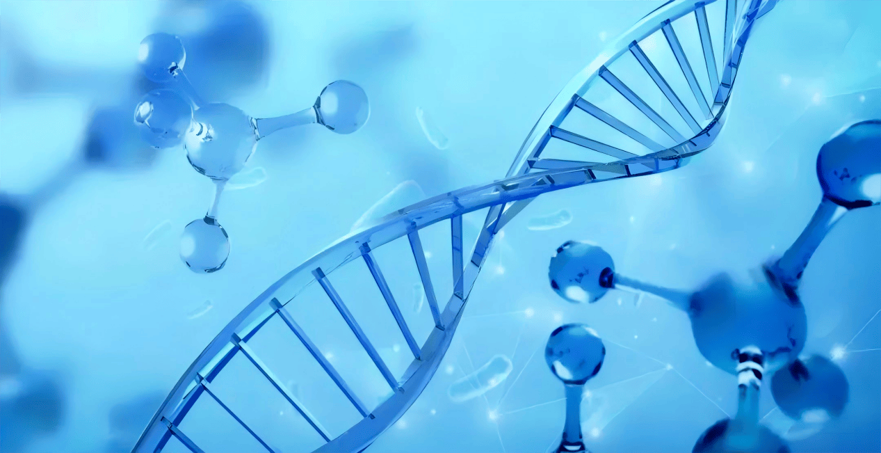 正开元小分子肽科普：解锁健康密码，探寻补肽益处