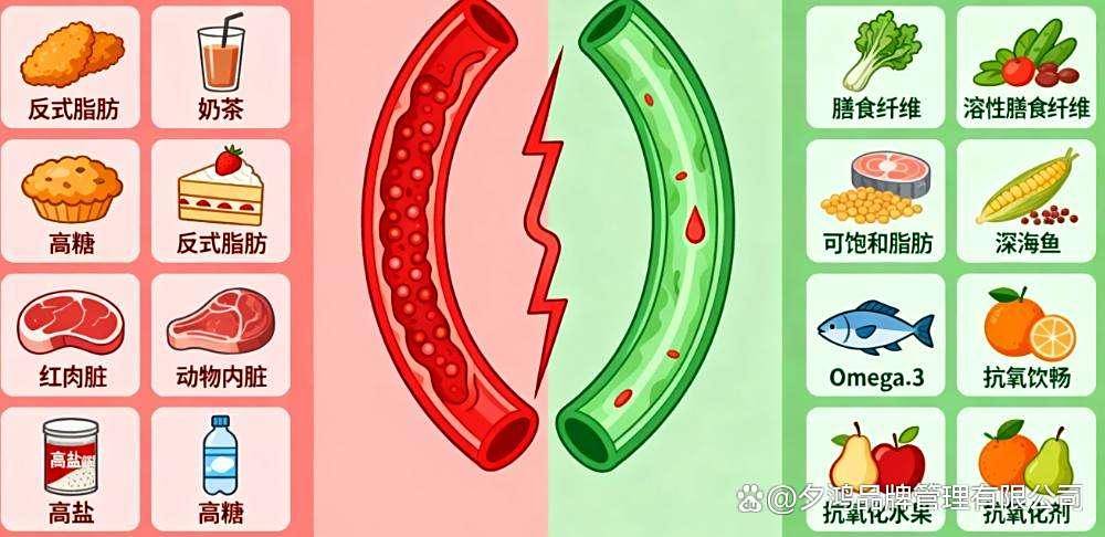 吃对食物能“清血管”？这是真的！