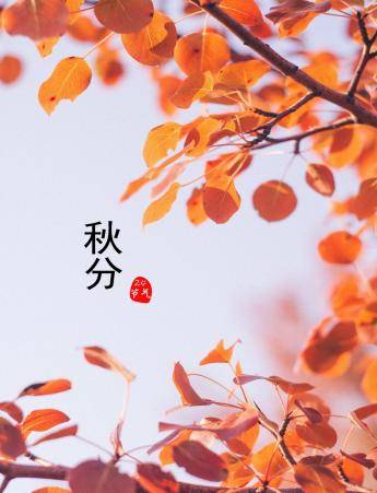 秋分养生：顺时而食，敛藏身心