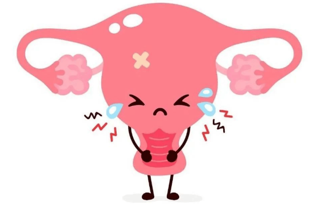 【汤医科普】长了子宫肌瘤怎么办？