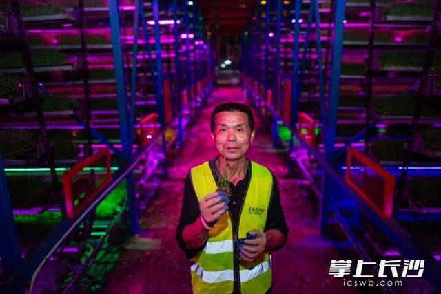 第30届全国摄影艺术展开幕 长沙8名摄影师作品入选