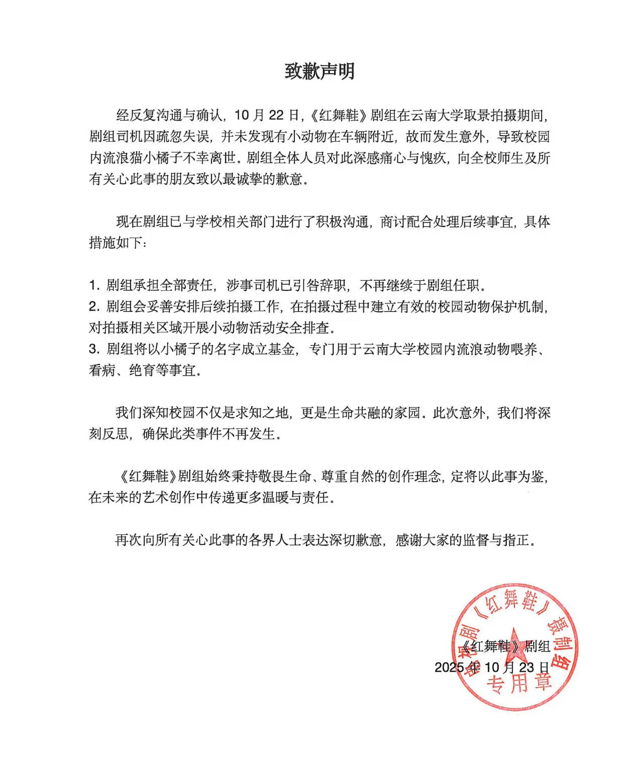 《红舞鞋》剧组回应撞猫事件：涉事司机已引咎辞职 将以小橘子名字成立基金