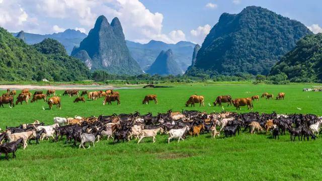 兼具“文艺味”与“烟火气” 永福罗锦镇举行草原风艺术盛典活动