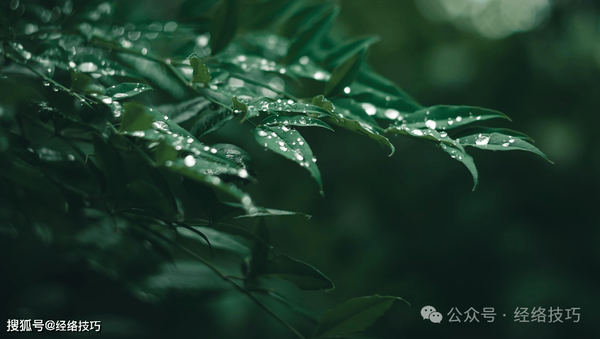 原创            一个“造血果”，秋天大量上市，女人这样吃，脾胃安了，气血足起来