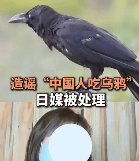 当真相被剪辑成笑话：日本节目把自己“剪”进道歉声明