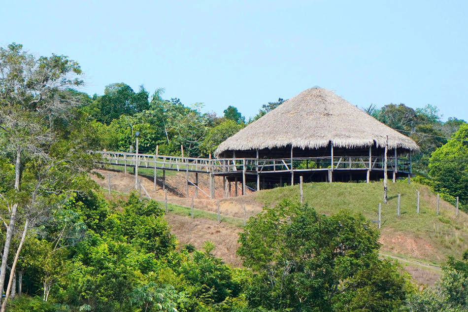 巴西：玛瑙斯，亚马孙，未及热带雨林深处的邂逅
