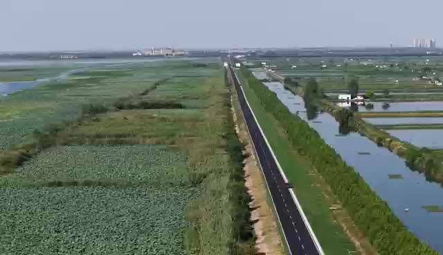 洪湖治理进行时丨80%赛程环湖而设   这条生态赛道成了“会呼吸”的风景线