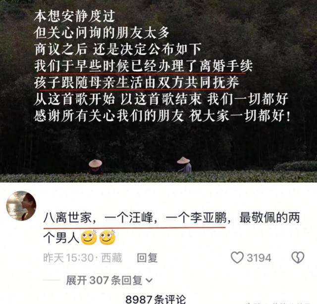原创            汪峰定律又中了，李亚鹏离婚，网友却心疼汪峰，评论区句句都是梗