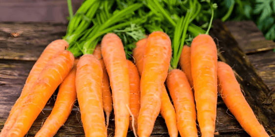 胡萝卜中竟含有天然抗氧化剂