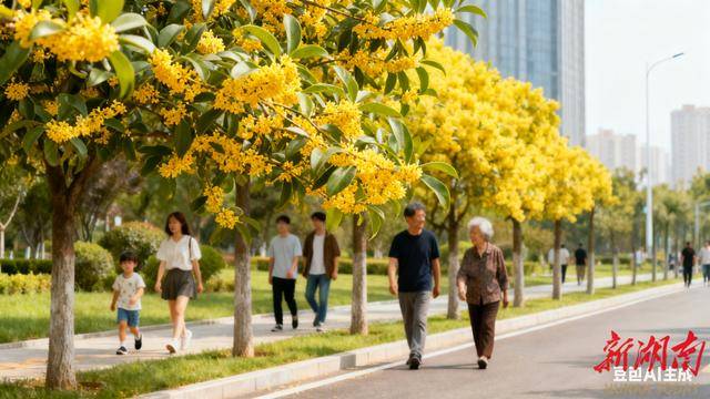 长沙满城桂花香！医生提醒不要食用