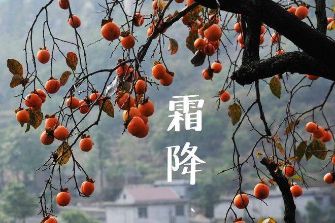 原创            霜降将至，中老年人牢记 “4不做2不吃”，顺时调身体，安稳入冬