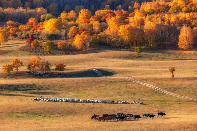原创            秋天，吃这四种食物，一润肺、二化痰、三清热润燥，不懂吃可惜了