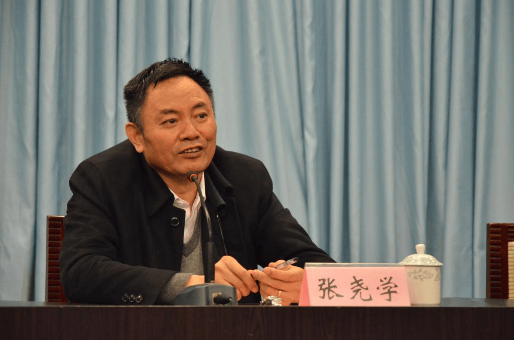 工程院院士张尧学，被查