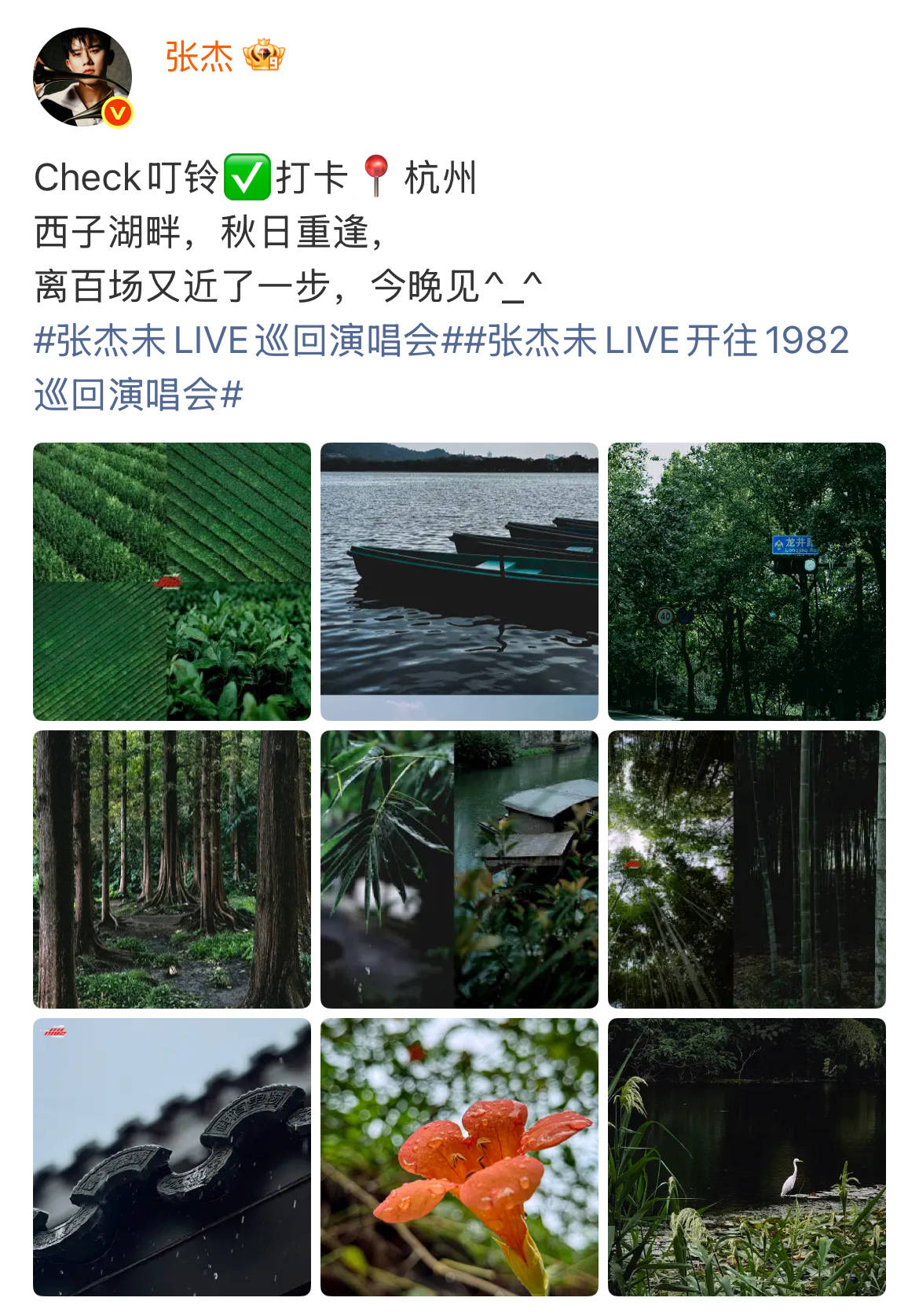 张杰化身“西湖推荐官”，吃到过“爱情红利”的人最有发言权
