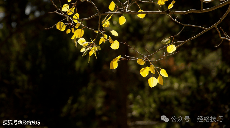 原创            被脾虚困扰半年，我靠每天“揉脾经”这条线，整个人都舒坦了！