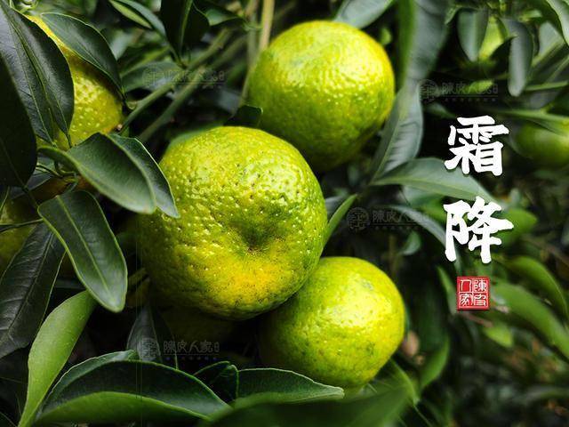 原创            陈皮食谱：霜降有三防，防寒防燥防郁伤
