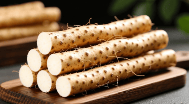 科普 | 一种药食同源的药物——怀山药