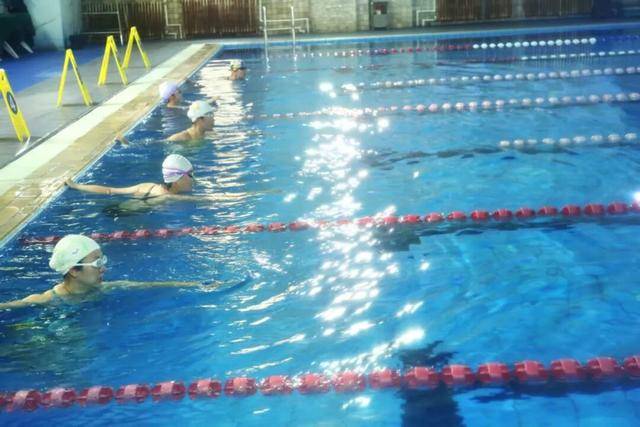 省卫生健康委游泳比赛创佳绩