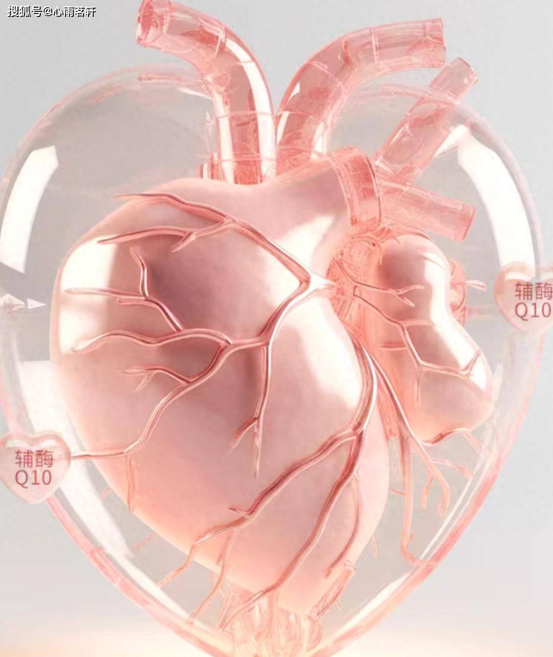 通心络胶囊的三个主要用途:益气活血，稳定斑块，保护神经