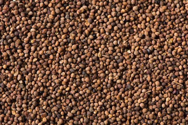 菟丝子加一药！男性朋友的“补肾好搭档”，从调理到养护全攻略