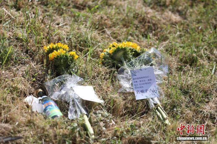 台湾写真：在马场町纪念公园缅怀“沉默的荣耀”