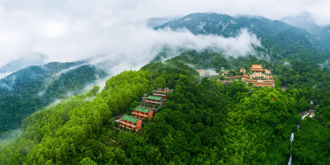 定了！今年的弄文玩素雅集将在这里举行