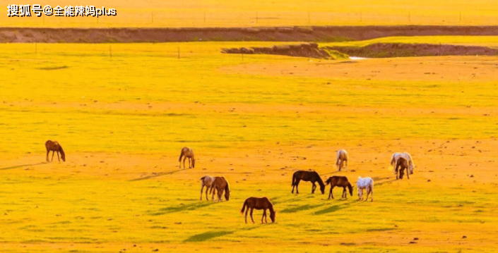 原创            最成功的家长：这3件事上少管孩子，越不管，娃长大越优秀！