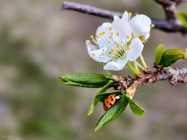 一个男人真的可靠，这些细节会告诉你