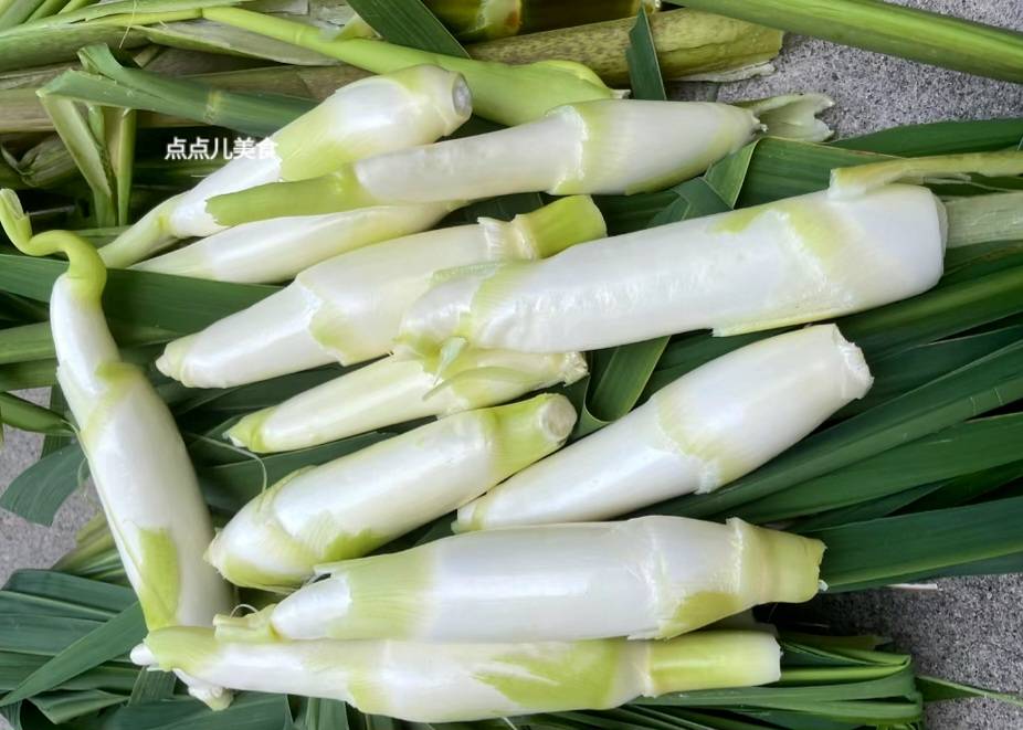 原创            10月这菜敞开吃,比韭菜还嫩!一通便、二祛湿、三降脂,堪称“水中人参”