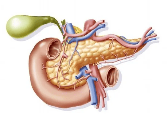 胰腺癌的早期症状有哪些？