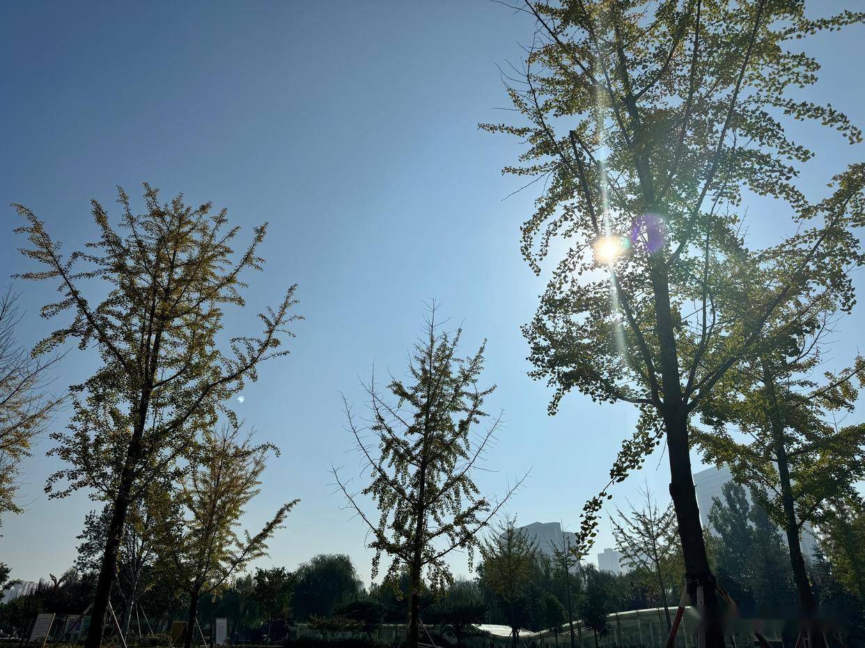 男人的欺骗只有0次和无数次！这3句话，帮你戳破所有谎言