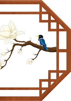 【新书通报202510】新书来了（二）