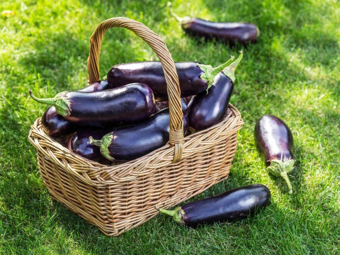 这种蔬菜是“吸油”大户，但很适合减肥期吃