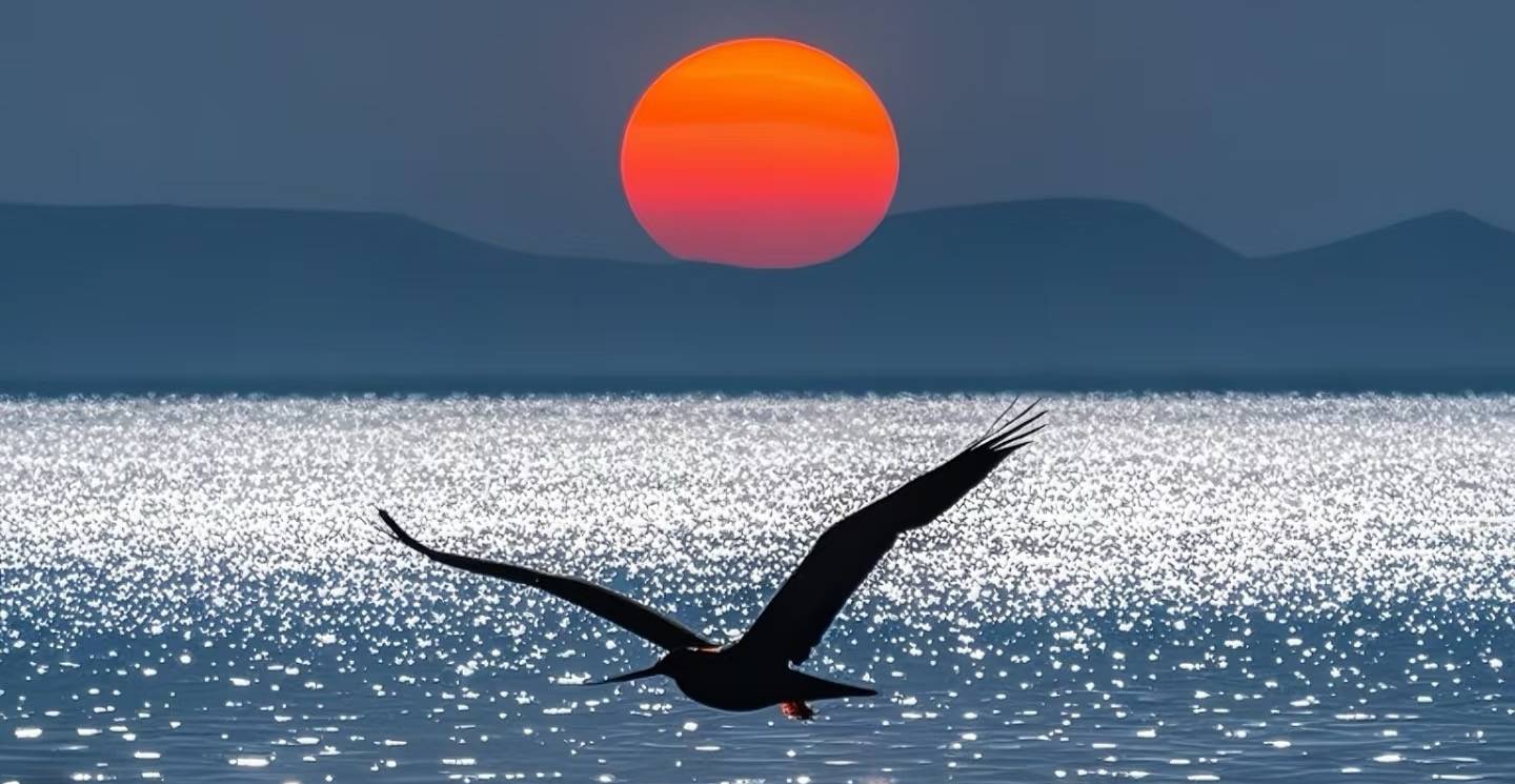 梅杰综合征，不想再吃药了？三个招式在家做，很土但补阳气，坚持一个夏天，和梅杰综合征说再见！