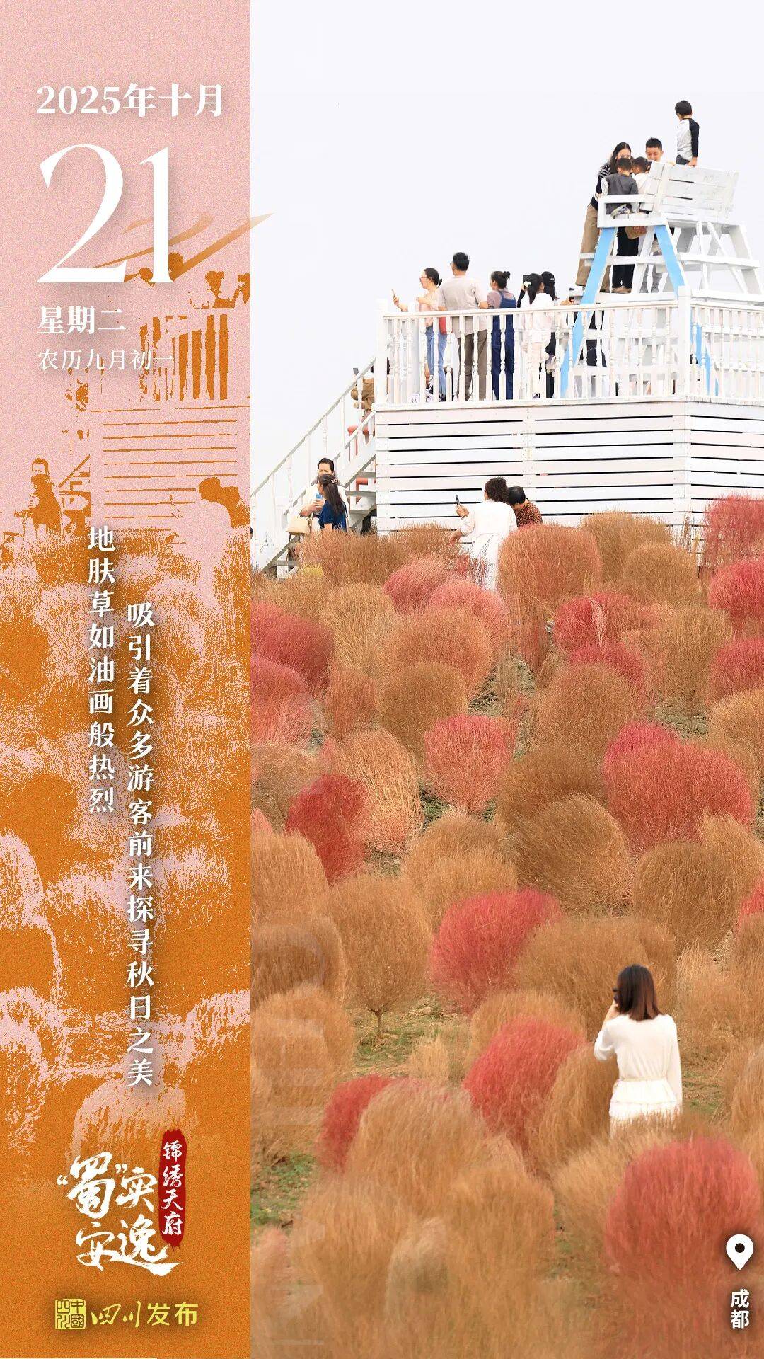 早安四川丨如油画般热烈