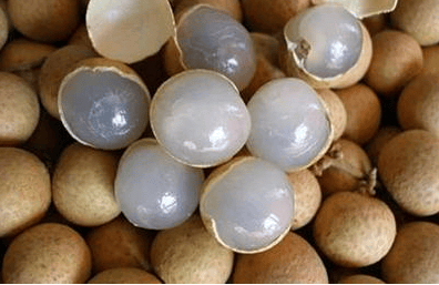 寒露后多吃水果中的黄芪，每天吃几颗，提高抗病能力，从根上补气血！现在吃就很合适