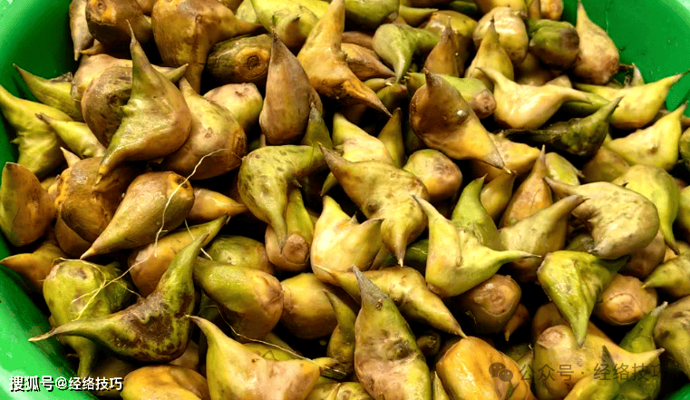 原创            秋天，吃红薯南瓜不如吃它！滋肝养肾，健脾养胃，大人小孩都爱吃