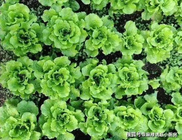 原创            每天饭后喝一杯“它”，轻松排毒，不长色斑，预防肝病