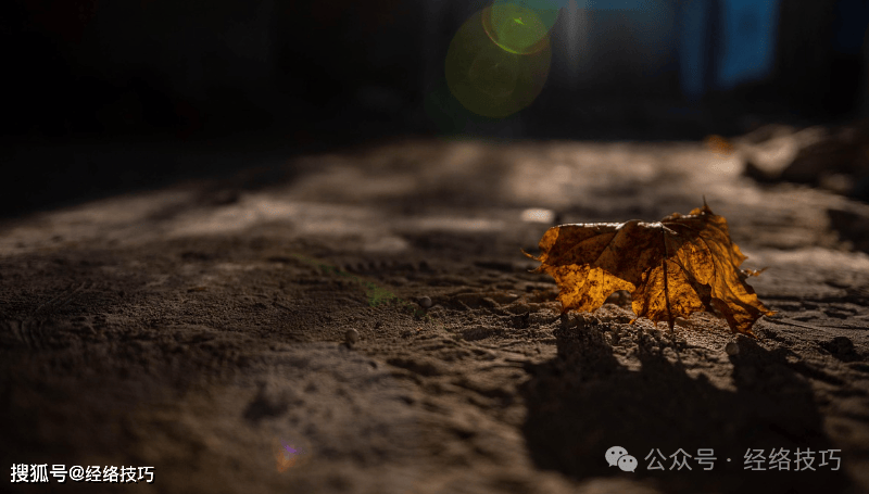 原创            脾胃的天然“修复剂”，深秋吃它正相宜！每周3次，助力养好脾胃，身体越养越舒坦