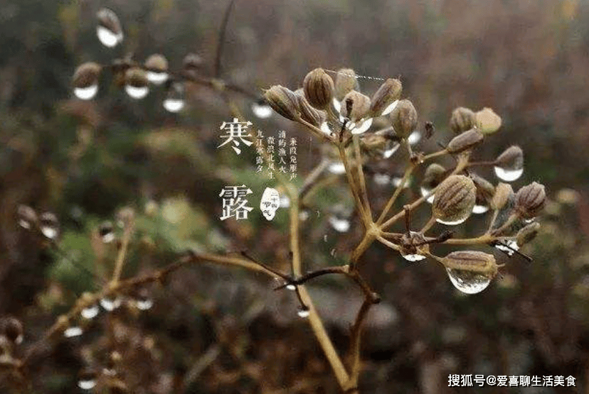 原创            寒露过后天气冷，建议少食2味，多吃5样，养阴固阳又防寒，健康入冬！