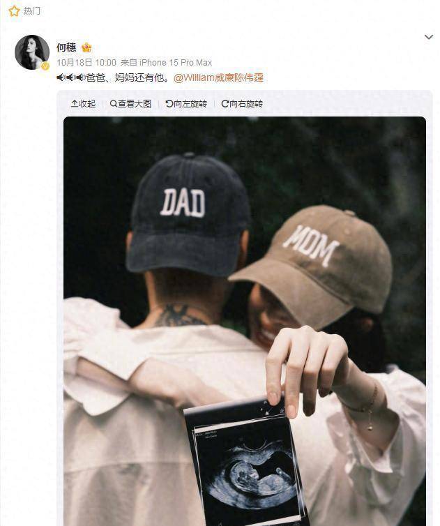 原创            何穗喜得贵子四大顶级模特终获真爱纷纷甜蜜归属