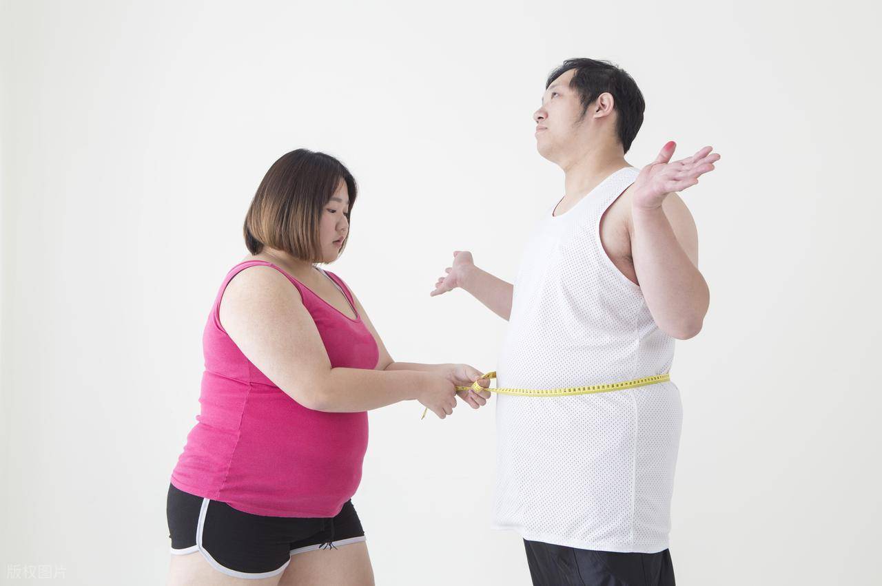 告别反弹!程嘉药业营养师揭秘“一次瘦,终身瘦”的终极秘诀