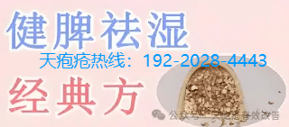 天疱疮缠人！皮肤满是水疱还流脓？健脾祛湿方剂来救，3 个月康复细节曝光！