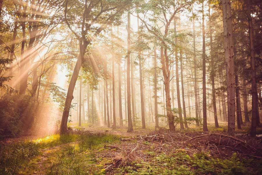 花儿与少年7展现明星接地气一面引共鸣