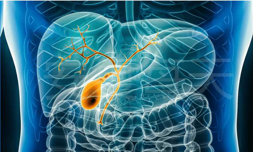 案例分享：联合FMT治疗胆囊癌