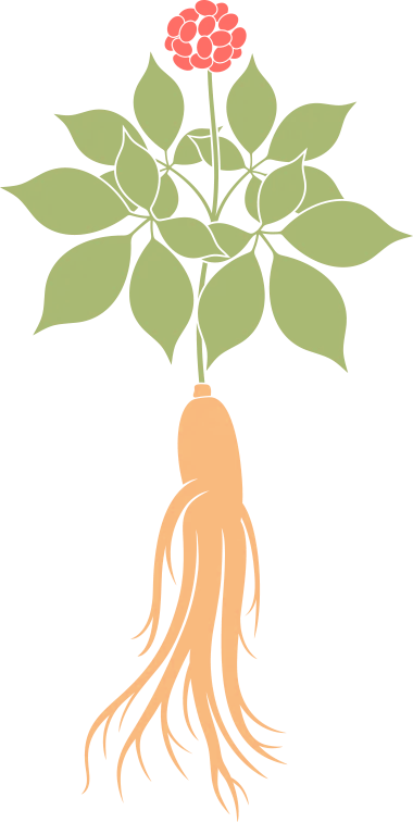 失眠有妙招，食疗来帮您