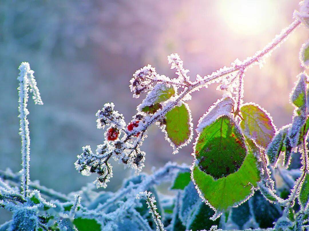 寒露至，秋意浓|广安门医院送您一份专属“养收”指南